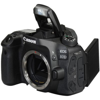 Canon EOS 80D in Kenya
