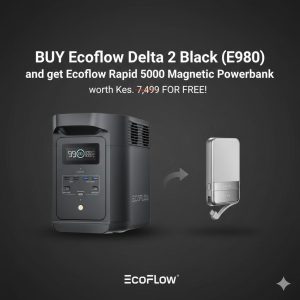 ECOFLOW E980 Portable Power Station