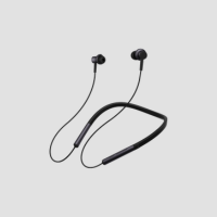 Neckband